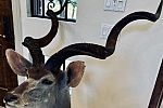Sale Photo Thumbnail #19