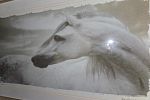 Sale Photo Thumbnail #50