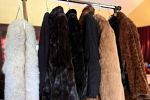 Sale Photo Thumbnail #32