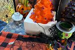 Sale Photo Thumbnail #14