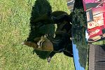 Sale Photo Thumbnail #12