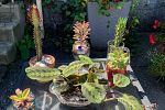 Sale Photo Thumbnail #23