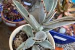 Sale Photo Thumbnail #21