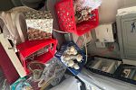Sale Photo Thumbnail #80