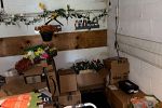 Sale Photo Thumbnail #21