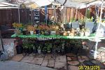 Sale Photo Thumbnail #32