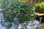 Sale Photo Thumbnail #25