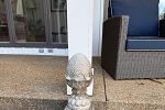 Sale Photo Thumbnail #39