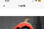 Sale Photo Thumbnail #2