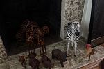 Sale Photo Thumbnail #16