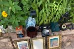 Sale Photo Thumbnail #17