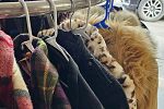 Sale Photo Thumbnail #14
