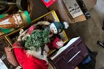 Sale Photo Thumbnail #13