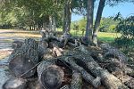 Sale Photo Thumbnail #53