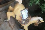 Sale Photo Thumbnail #1