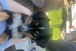 Sale Photo Thumbnail #31