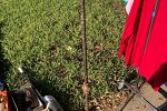 Sale Photo Thumbnail #14