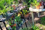 Sale Photo Thumbnail #5