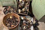 Sale Photo Thumbnail #16