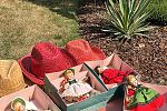 Sale Photo Thumbnail #4