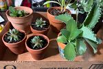Sale Photo Thumbnail #6