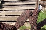 Sale Photo Thumbnail #6