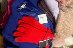 Sale Photo Thumbnail #94