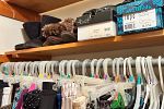Sale Photo Thumbnail #19