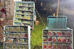 Sale Photo Thumbnail #23