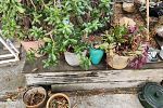 Sale Photo Thumbnail #21
