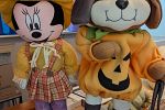Sale Photo Thumbnail #21