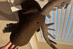 Sale Photo Thumbnail #55