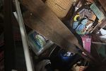 Sale Photo Thumbnail #9