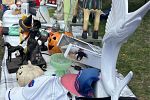 Sale Photo Thumbnail #9