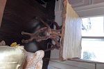 Sale Photo Thumbnail #131