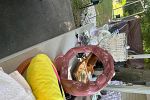Sale Photo Thumbnail #18
