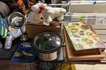 Sale Photo Thumbnail #17