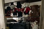 Sale Photo Thumbnail #21