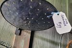 Sale Photo Thumbnail #79