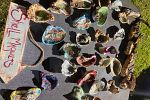 Sale Photo Thumbnail #15
