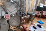 Sale Photo Thumbnail #2
