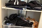 Sale Photo Thumbnail #31