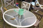 Sale Photo Thumbnail #31
