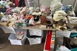 Sale Photo Thumbnail #9