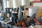 Sale Photo Thumbnail #6