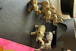 Sale Photo Thumbnail #18