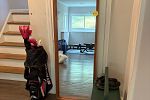 Sale Photo Thumbnail #16