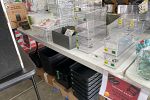 Sale Photo Thumbnail #5
