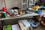 Sale Photo Thumbnail #6