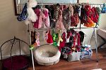 Sale Photo Thumbnail #4